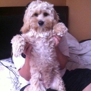 Meet your Posher, Nhan