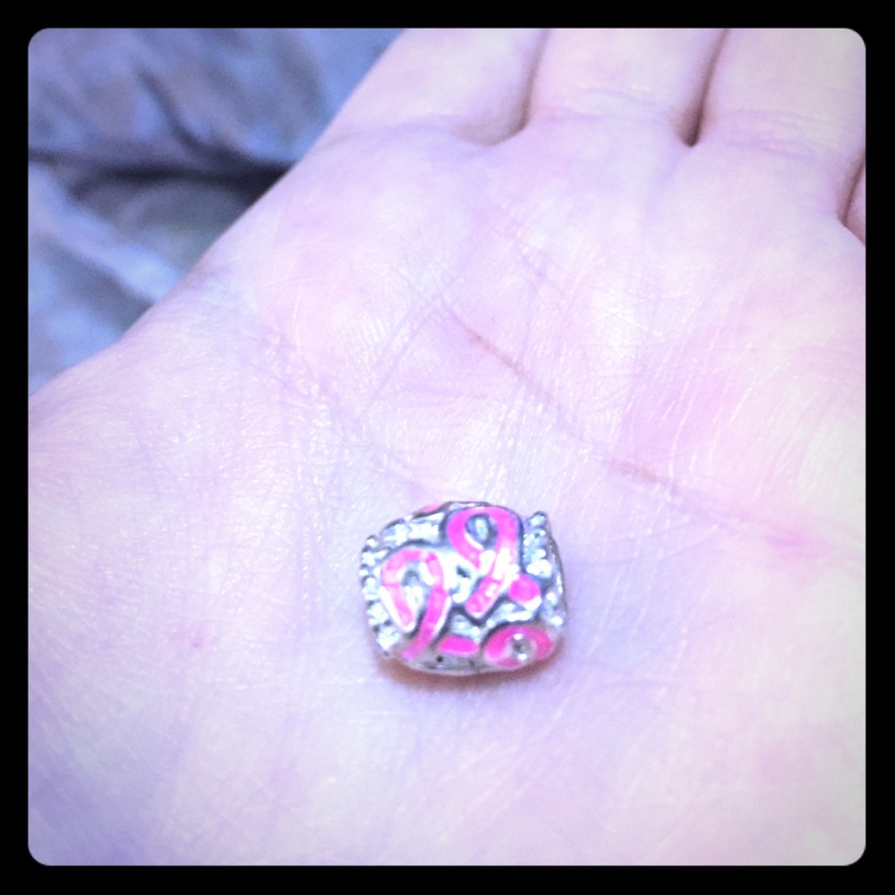 Crystal and Beauttiul Silver Charm!