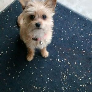 Meet your Posher, Natalie