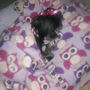 Meet your Posher, Moneke