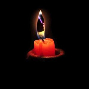 Meet your Posher, Darene