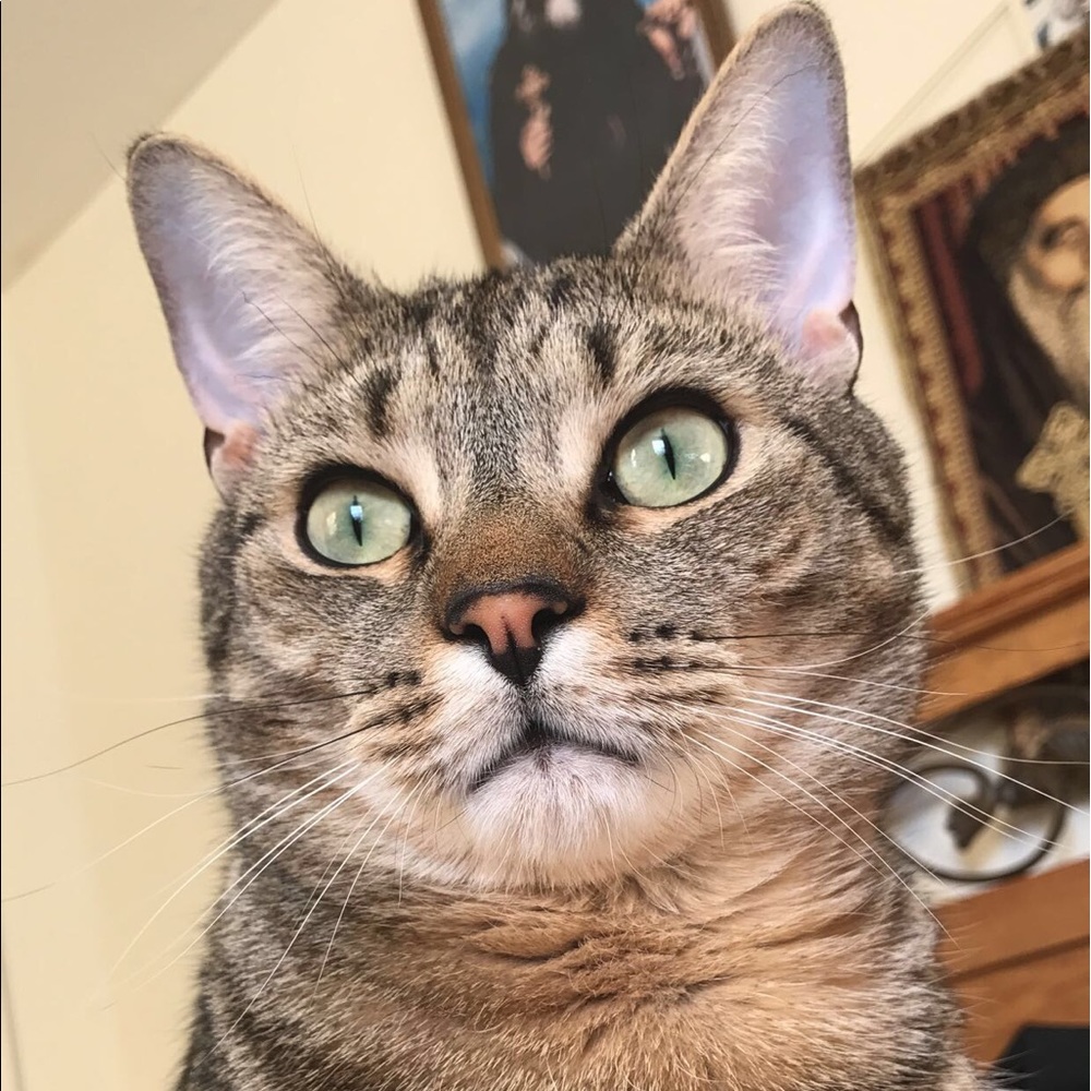 Meet your Posher, Enas