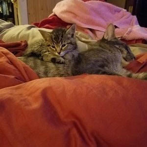 Meet your Posher, Phyllis