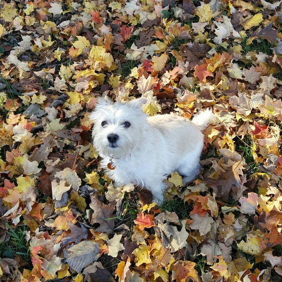 Instagram: @bdshort2010 - Picture 4 of 6