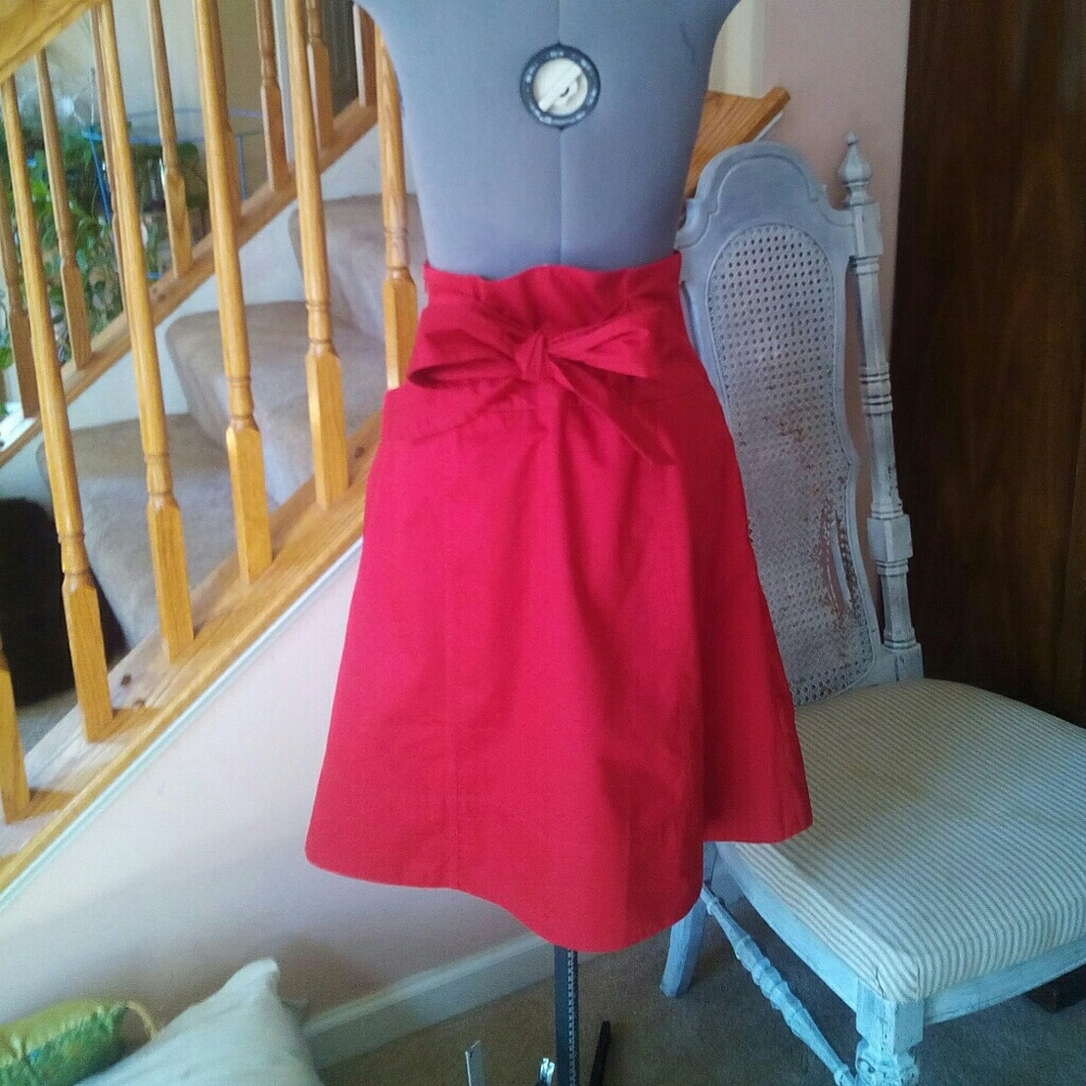 Zara Skirt - Picture 2 of 5