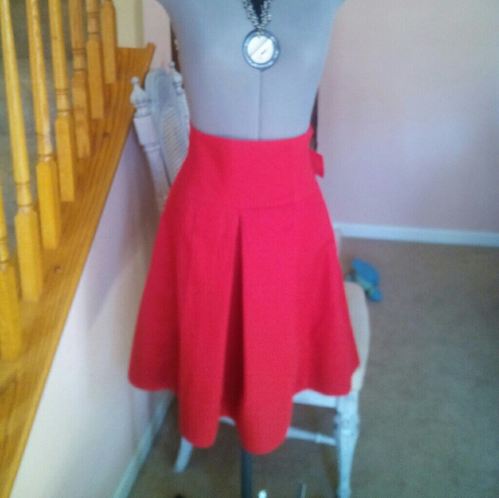 Zara Skirt - Picture 3 of 5
