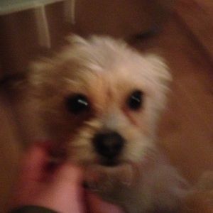 Meet your Posher, Aidan