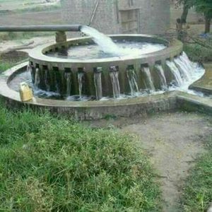 Meet your Posher, Harinder