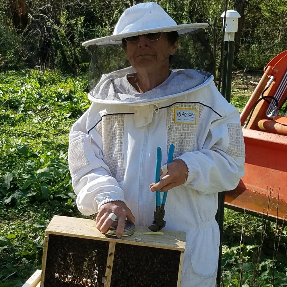 Meet your Posher, Diane