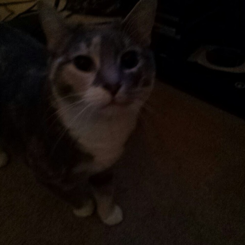 Meet your Posher, Ian