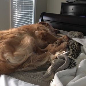 Meet your Posher, Pam