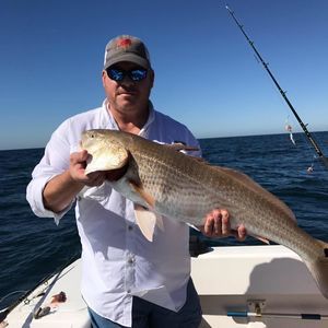 Meet your Posher, Brant