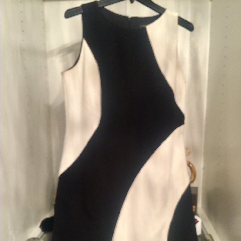 Black and white sheath dress!  Worn once.