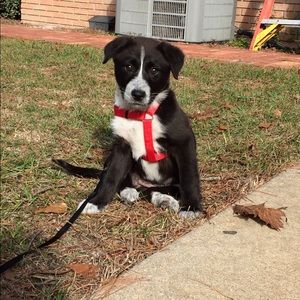 Meet your Posher, Amber