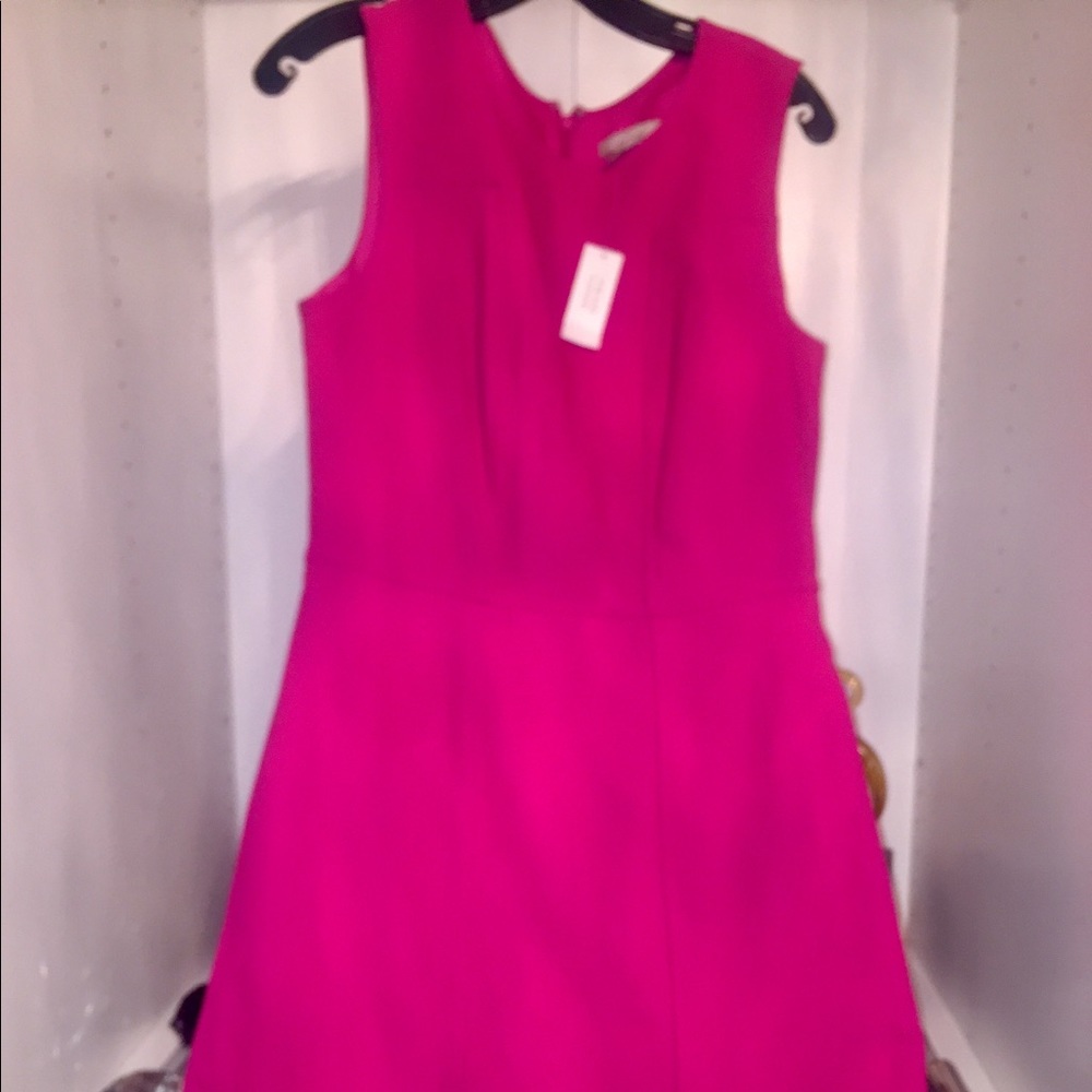 Fuschia Sheath Dress