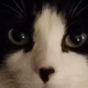 Meet your Posher, Judy