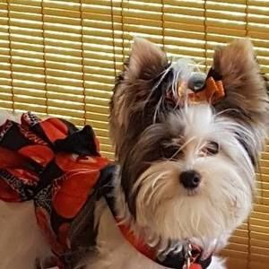 Meet your Posher, Jan