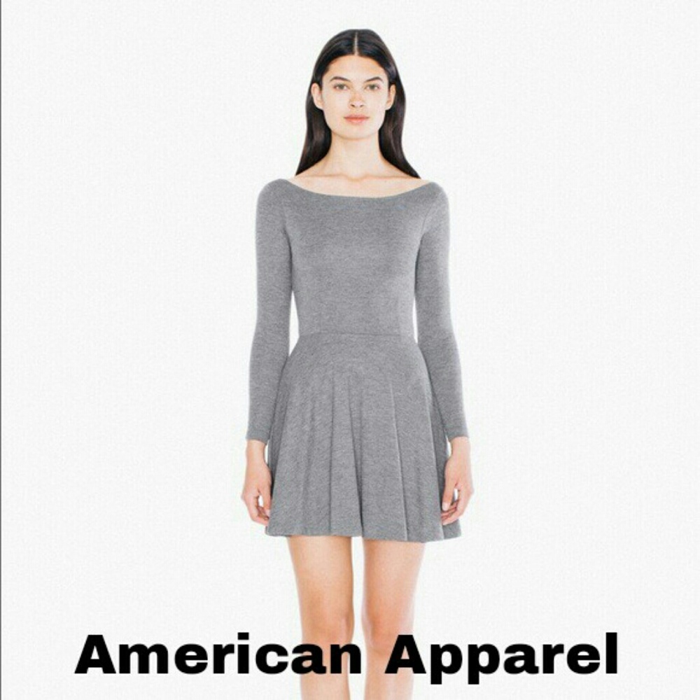 American Apparel gray skater dress