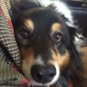 Meet your Posher, Stacy