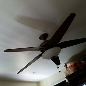 Meet your Posher, Steve