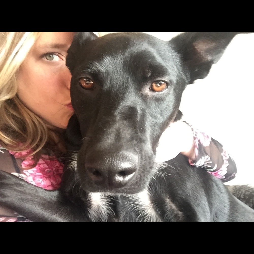 Meet your Posher, Lucy