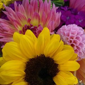 Meet your Posher, Nan