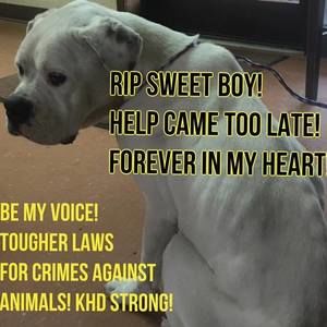 Meet your Posher, Jane