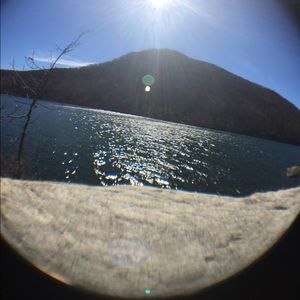 Meet your Posher, Connie