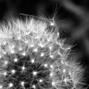 Meet your Posher, Vicki