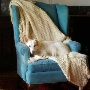 Meet your Posher, Robyn