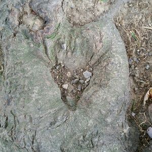 Meet your Posher, Liz