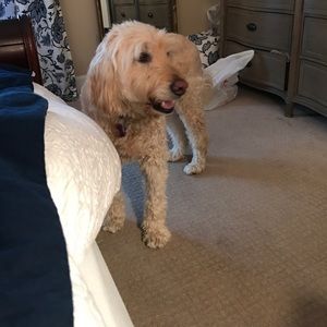 Meet your Posher, Kellie