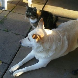 Meet your Posher, Tonia