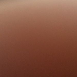 Meet your Posher, Elisa