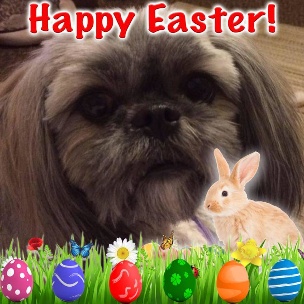 Meet your Posher, Teresa