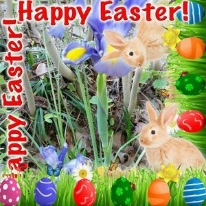 Meet your Posher, Joann