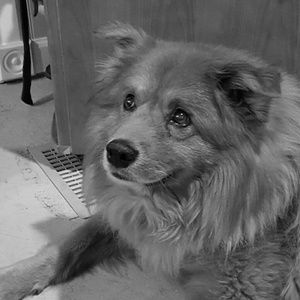 Meet your Posher, Patrick