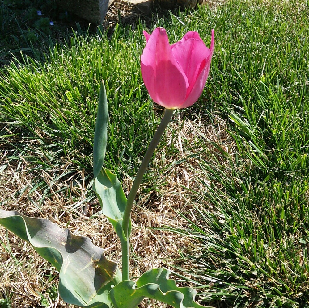 Meet your Posher, Teresa