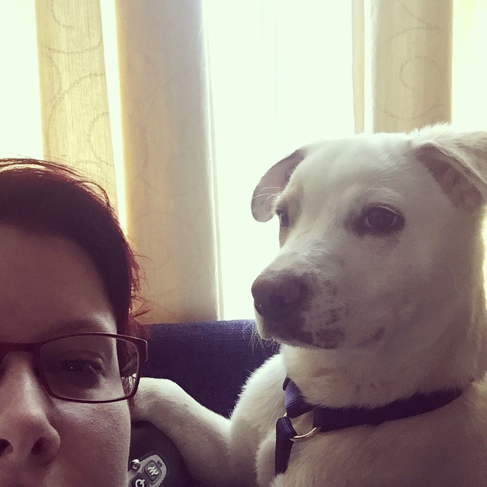 Meet your Posher, Kate