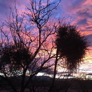 Meet your Posher, Joan