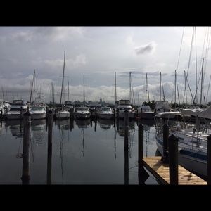 Meet your Posher, Merwin