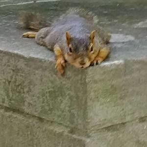 Meet your Posher, Linda