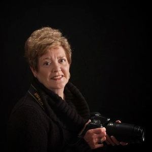 Meet your Posher, Marilyn