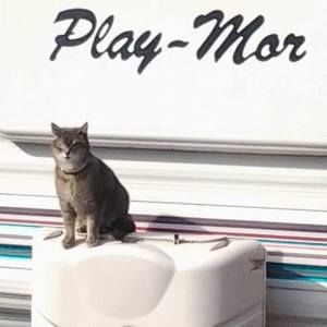 Meet your Posher, Kitty