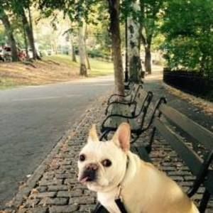 Meet your Posher, Blaze