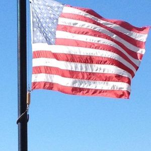 Meet your Posher, Ginger