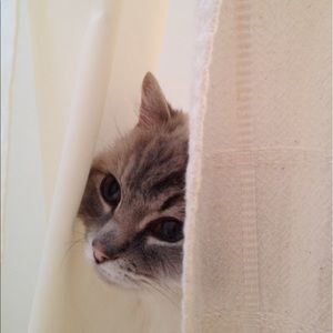 Meet your Posher, Eva