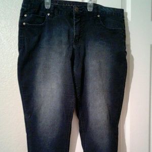 Liverpool Abby skinny jeans  SZ 14 (p)