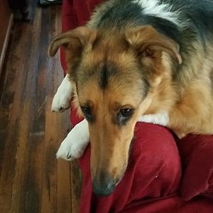 Meet your Posher, Mariah