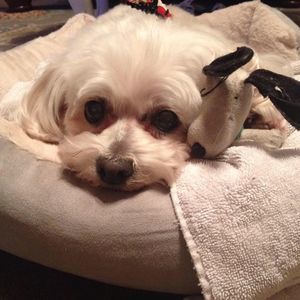 Meet your Posher, Rachael